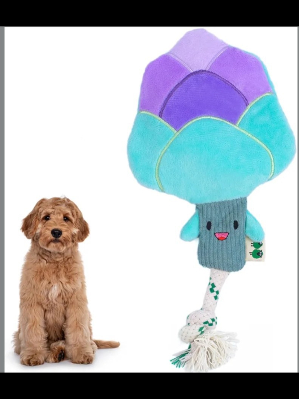 Green Sheep Plush Squeaky 🐶 Dog Toy, Durable & Tough Chew